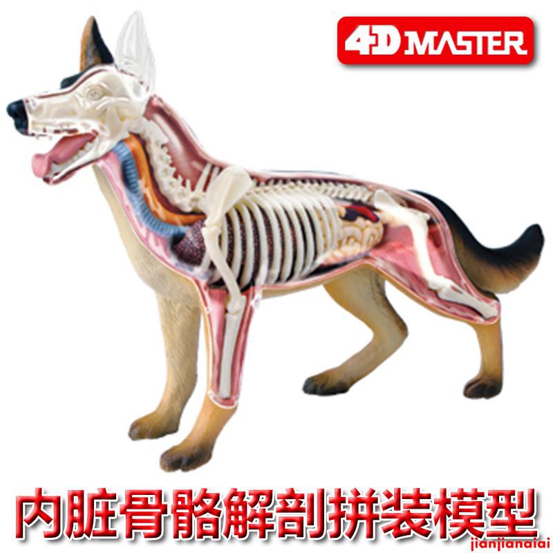 動物模型屋的價格第3 頁 比價比個夠biggo