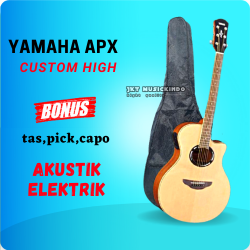 yamaha apx 1n