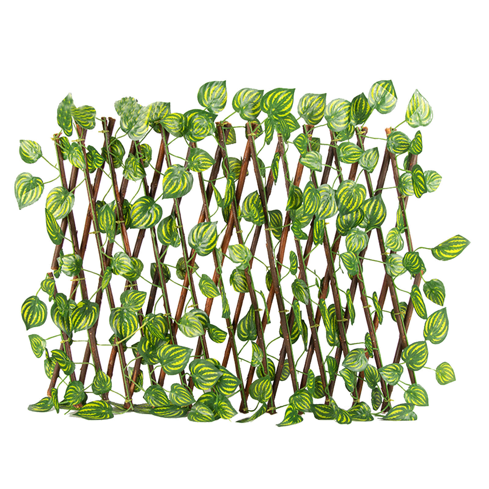 รายการ 92+ ภาพ แบบ รั้ว ต้นไม้ ใหม่ที่สุด