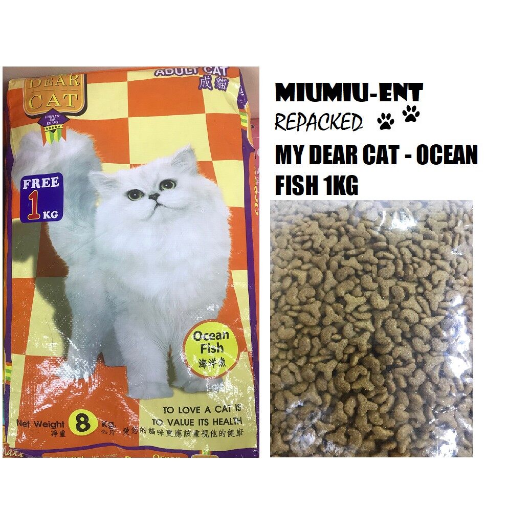 my dear cat tuna