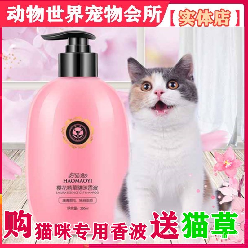 Syampu Kucing Price u0026 Promotion - Nov 2021 BigGo Malaysia