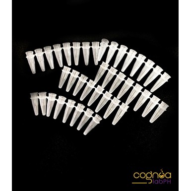 8 Tubes Pcr Strips Price Voucher Jul 21 Biggo Philippines