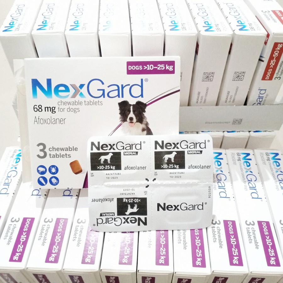Nexgard Price & Promotion-Dec 2022|BigGo Malaysia