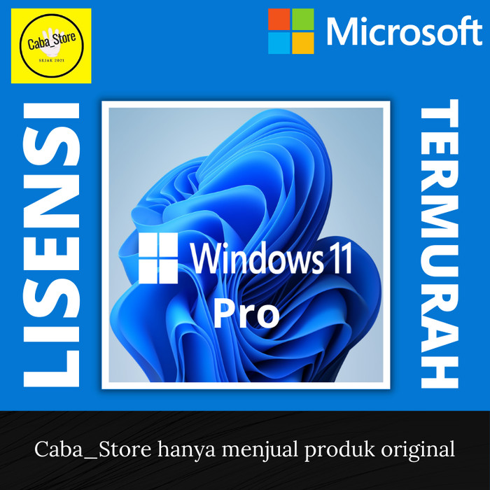 microsoft windows 11 pro