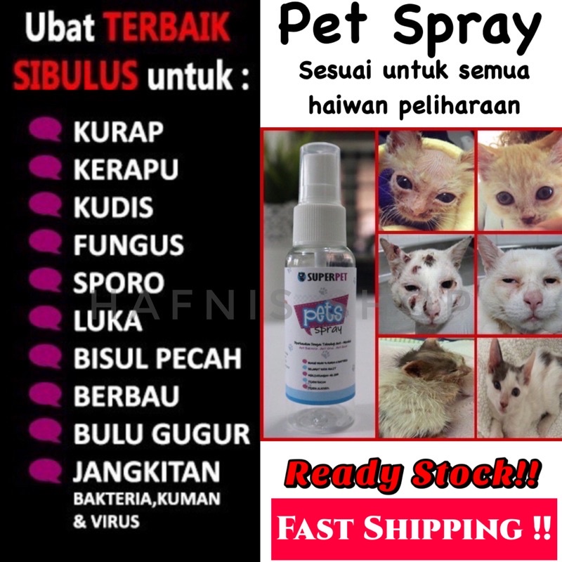 Luka Kucing Price u0026 Promotion - Nov 2021 BigGo Malaysia