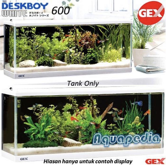 80 Contoh Aquarium Kura Kura Gratis Terbaik