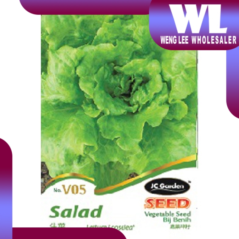 Lettuce Price & PromotionOct 2022BigGo Malaysia