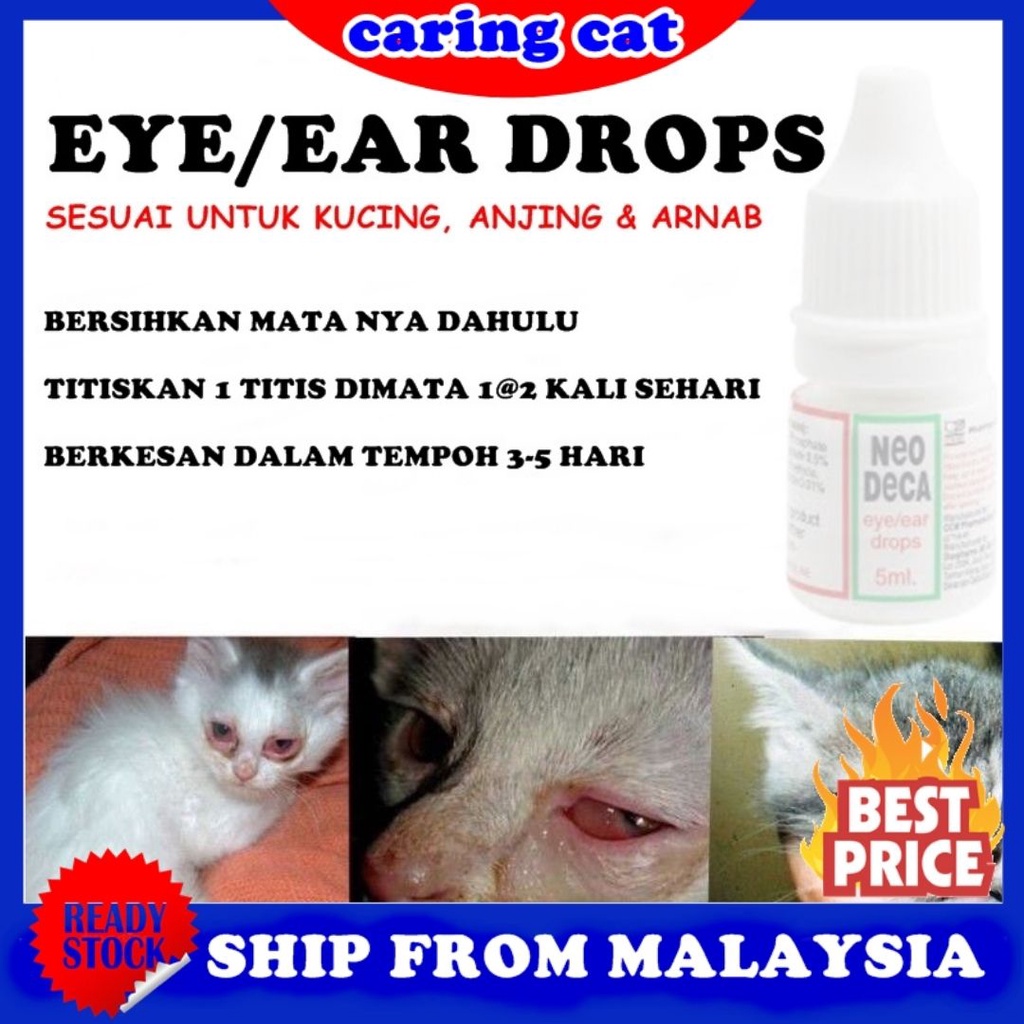 Ubat Kucing Sakit Mata Price u0026 Promotion - Nov 2021 BigGo Malaysia