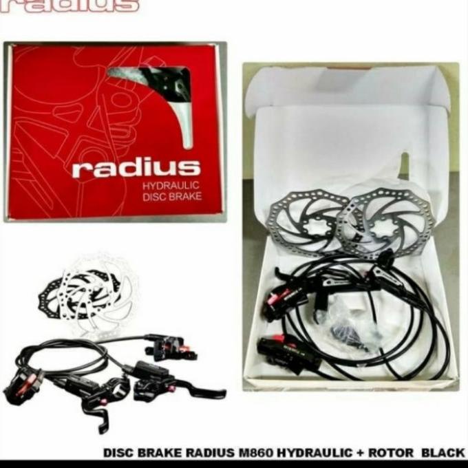 radius hydraulic disc brake